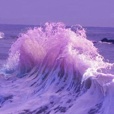 B体育·(sports)官方网站下载手机版